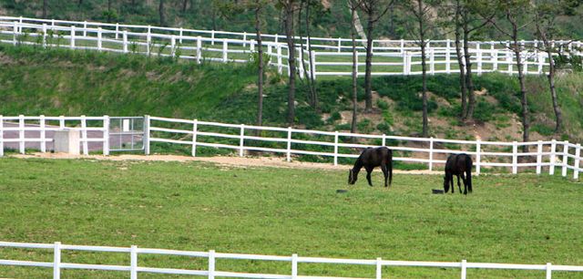 한국마사회 장수목장, 목장 개방 프로그램 4월 운영