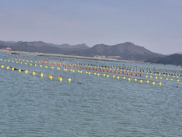 인증 부표-해남 해역