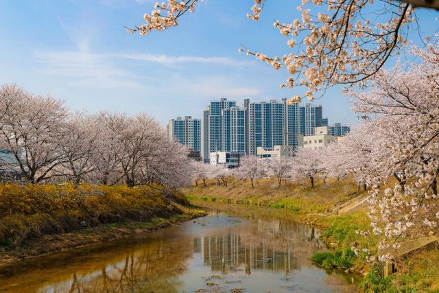 사본 -(사진1)당진천