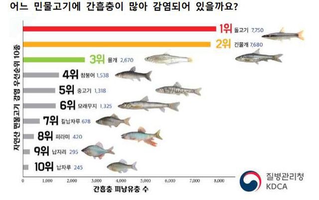 2-1 자연산 민물고기 절대 날로 먹지 마세요