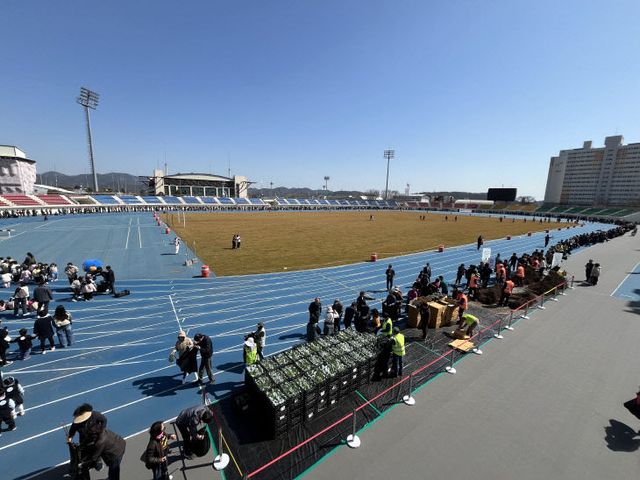 2025년 나무나누어주기 행사