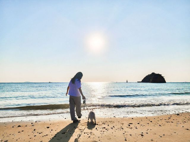 2. 펫니스태안 미션투어 2