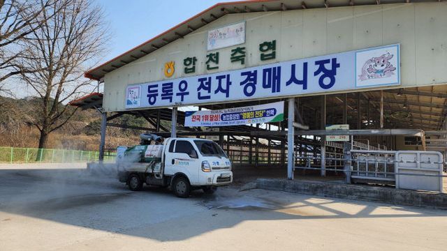 합천군 백신 접종 등 구제역 유입 차단 총력