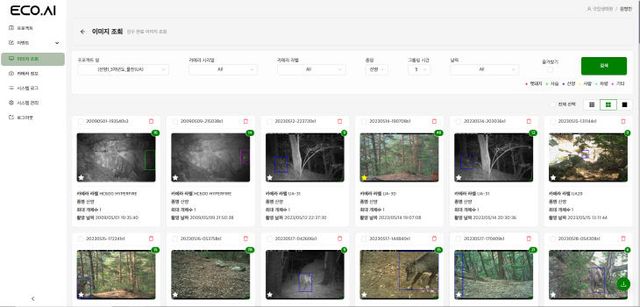 Eco.AI 자동 종동정 분석 메인 화면