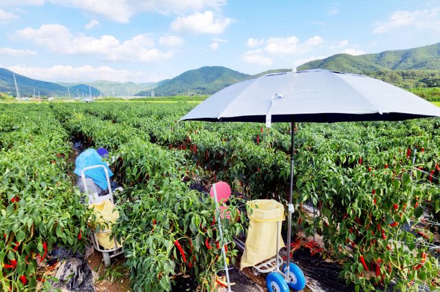 지원사업 추진) (2)