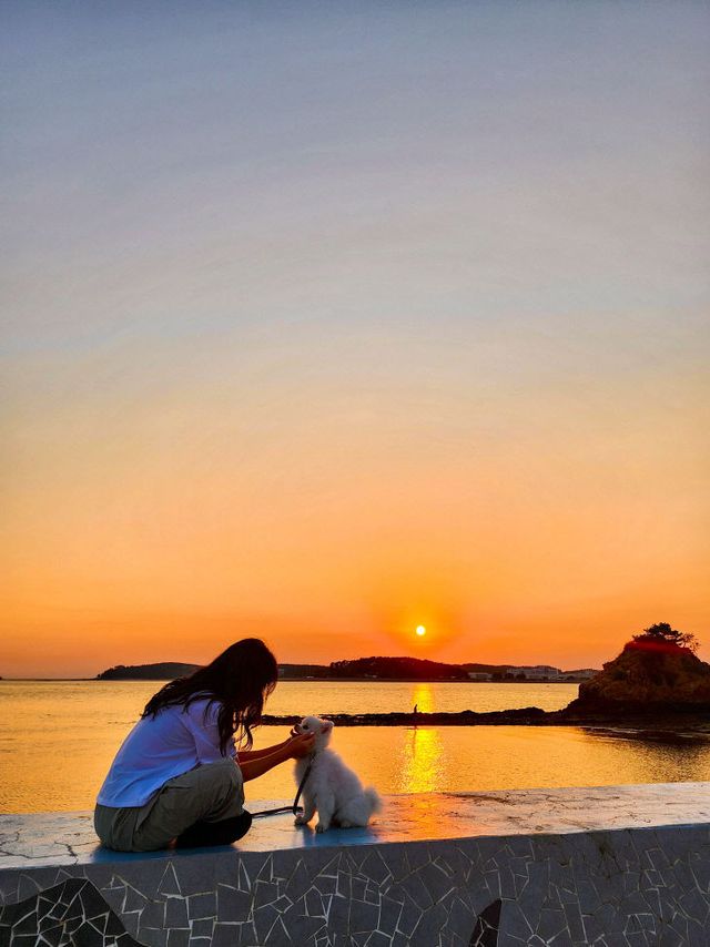 2. 펫니스태안 미션투어 3