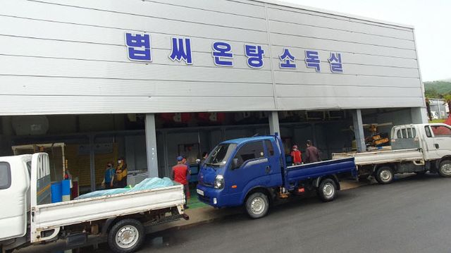 3. 진도군, ‘친환경 온탕소독장 운영’ (1)