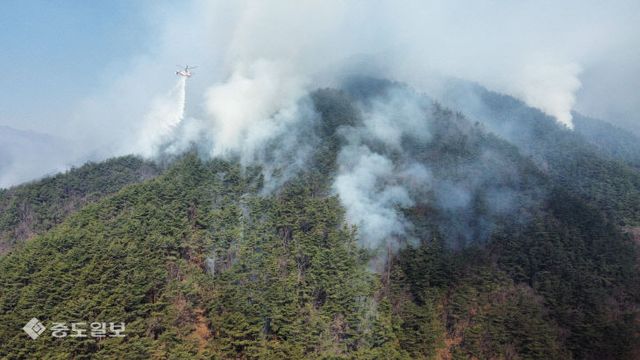 dji_fly_20250322_100004_213_1742605344928_photo_optimized