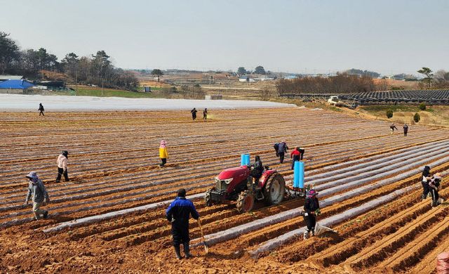 정읍시, 감곡면서 첫 정식 (2)