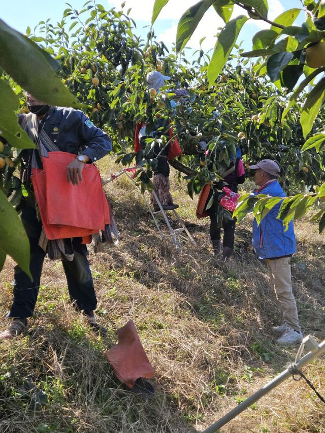 3.25. 김해시 정례브리핑 보도자개센터