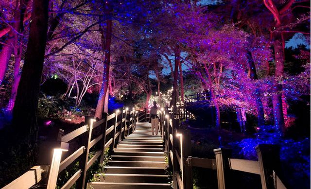 수원시, 새로운 매력 ‘요새화성·요즘행궁’ 봄 만끽.