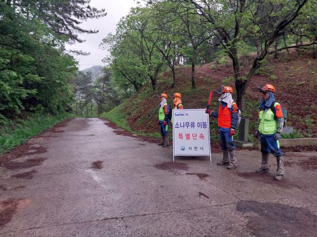 사천시, 봄철 소나무류 불법이동 특별단속 (2)