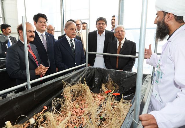 씨감자 종합 생산단지 현장시찰4