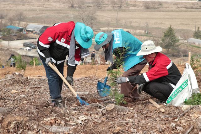 사본 -(사진3)식목일2