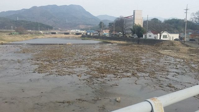 죽천천 하상정비