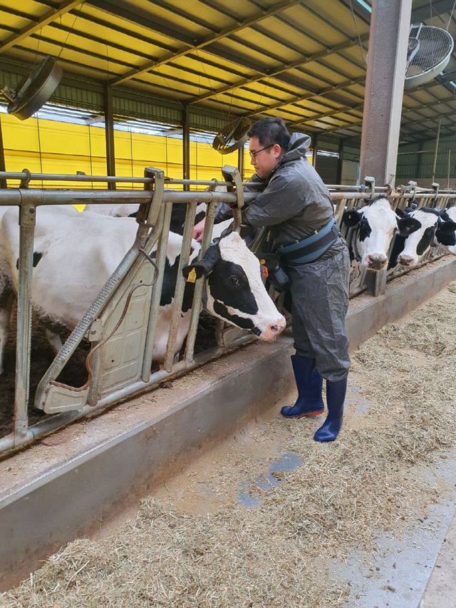 3.25. 김해시 대응