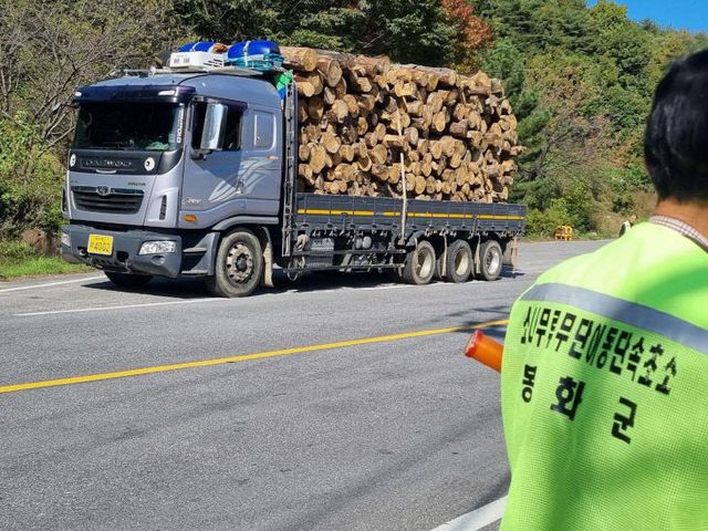 1. 봉화군, 소나무류 무단 이동 특별단속 시행 (2)