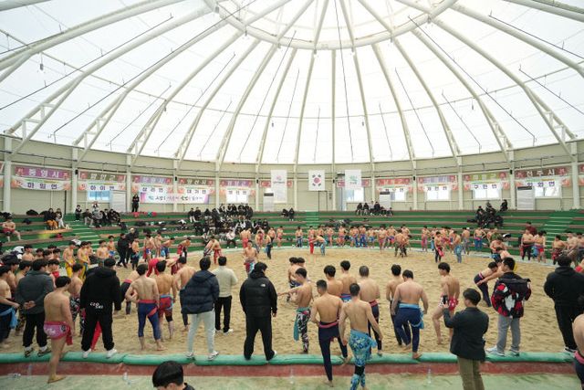고성군, 스포츠 열정으로 가득 찬 겨울
