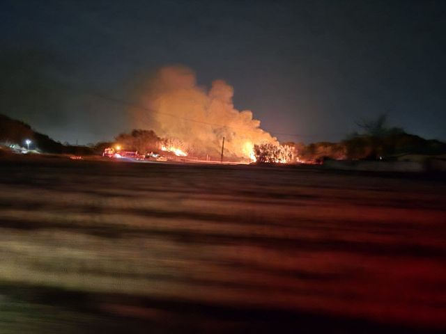 3월 14일 발생한 서천군 마서면 신포리 산불 모습