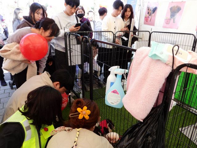 논산시 동물보호센터 부스 모습 (3)