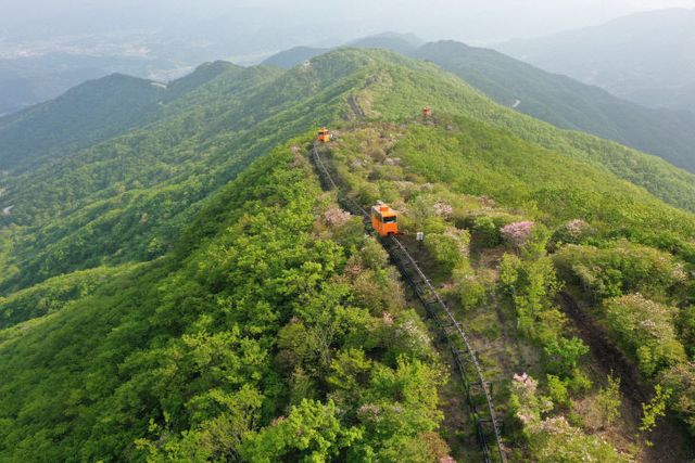 대봉산휴양밸리 봄 모노레일2