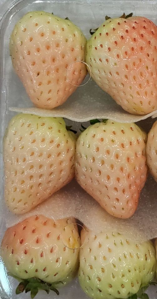 KakaoTalk_20250324_084506294