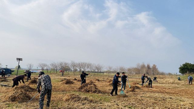 6.세도면 이장단 환경정비 (1)