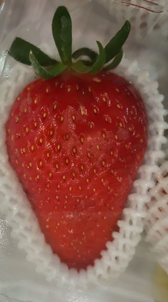 KakaoTalk_20250324_084548338