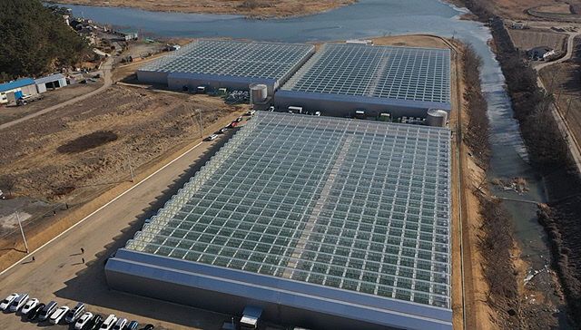 사본 -(사진5)스마트팜 전경