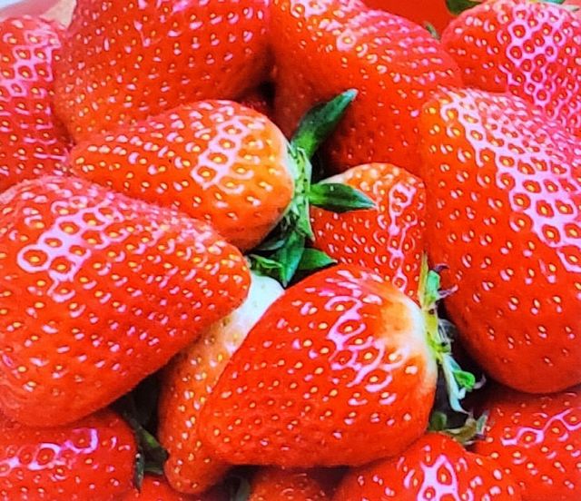 KakaoTalk_20250324_084650875