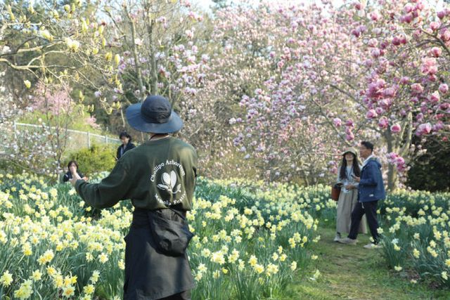 천리포수목원 목련축제를 찾은 탐방객
