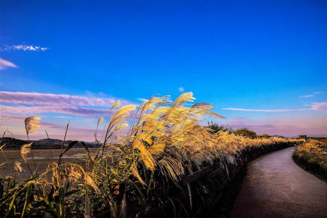창원 주남저수지, 7일부터 출입통제 해제
