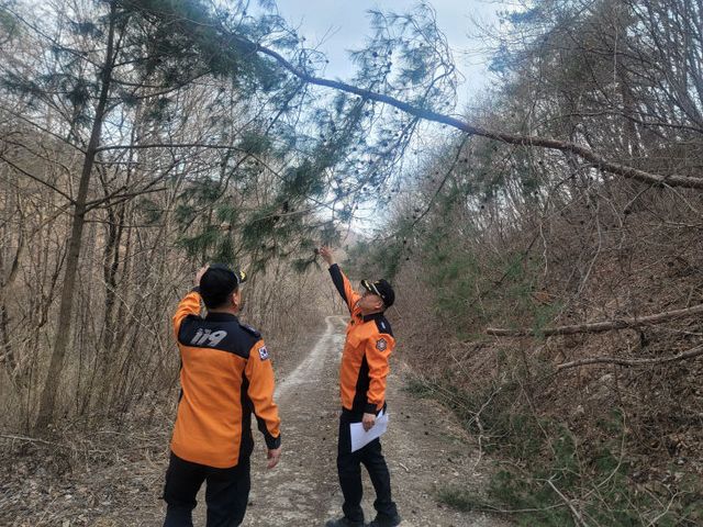 임도 현지 확인 사진