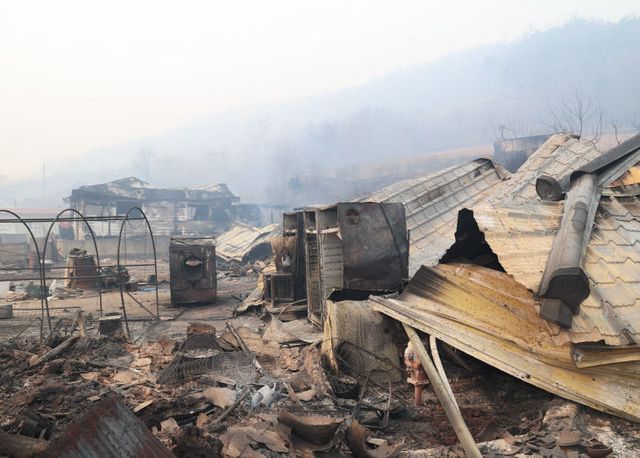 지원을 위해 TF팀 구성)