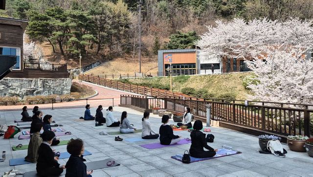 4.10(김해시 도심형 산림복지시외요가2