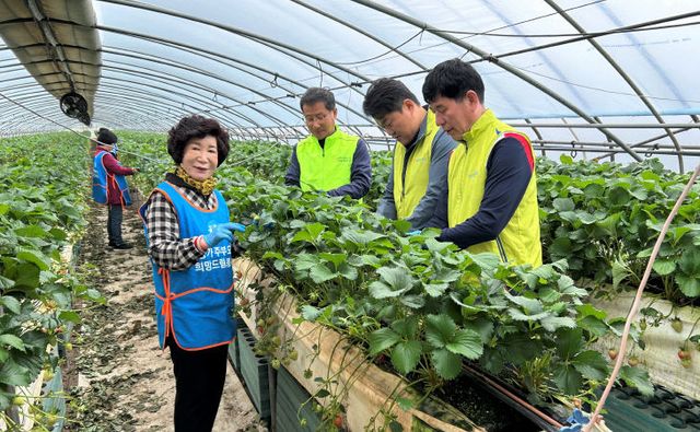 영농지원 발대식 및 농촌일손돕기(1)