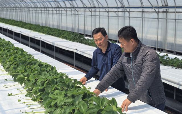 신규농업인 영농교육현장