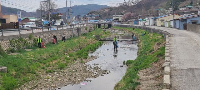 10.예산읍 하천 환경정화 활동 모습