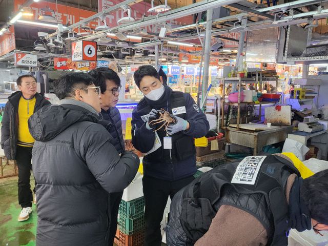 보도자료 사진(수산시장 불법수산물 점검 사진)