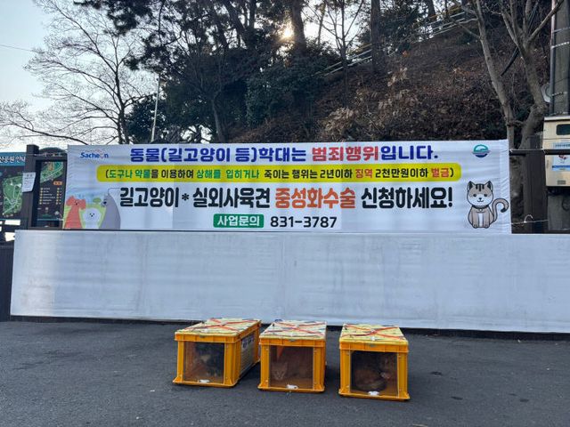 사천시, 길고양이 중성화(TNR) 수술 순항