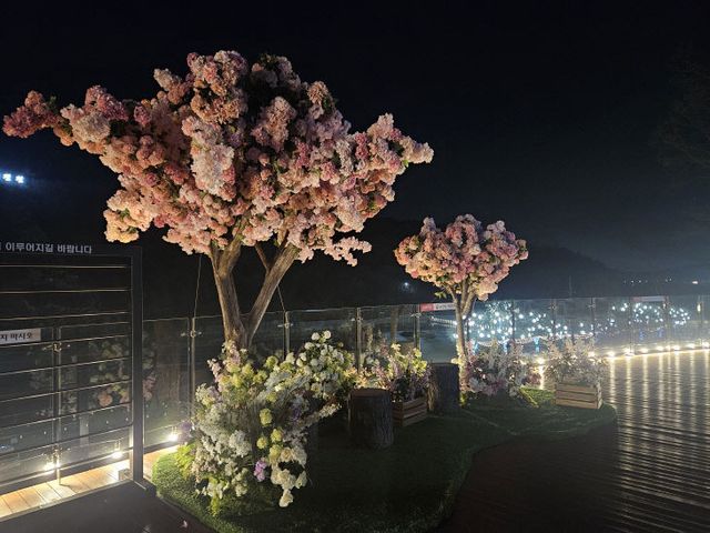 농다리 포토존 사진2(소원나무 밤)