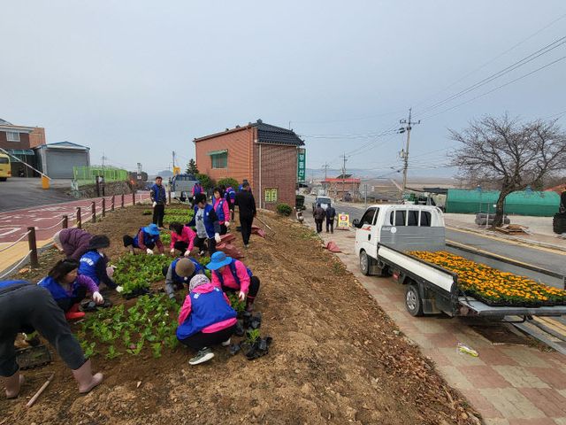 교동면 바르게살기위원회, 꽃동산 꾸미기로 봄소식 전해