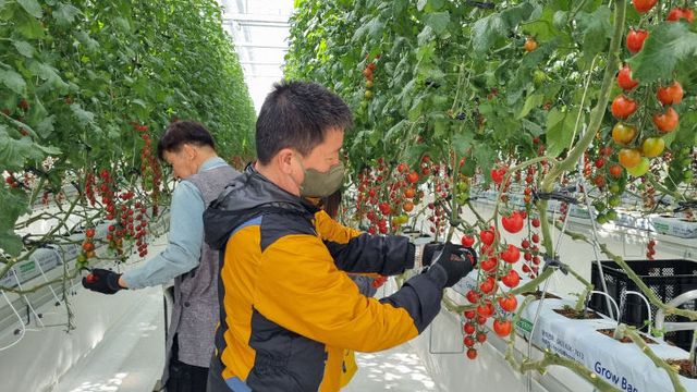 (참고) 체험 행사 사진3