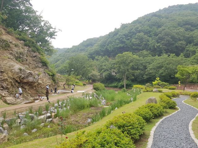 백야자연휴양림