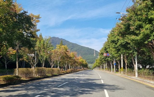 4.15 김해시 정례브리핑 보조성