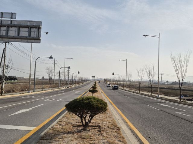 2.내포제2진입도로 명품가로숲 조성 모습