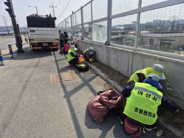 봄꽃 식재’로 봄기운 가득한 도시 조성(2) (1)
