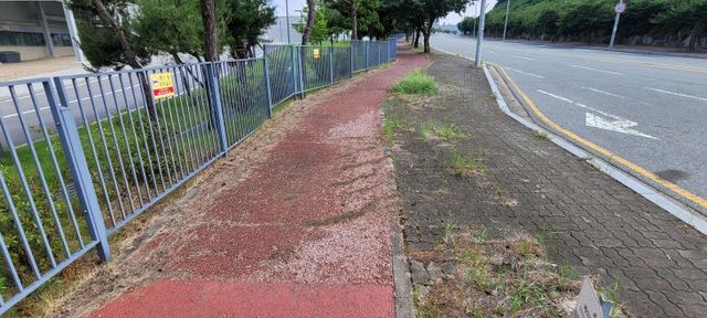 03.1 청주시, 오송 오창 과학단지 자전거도로 정비 추진. 사진