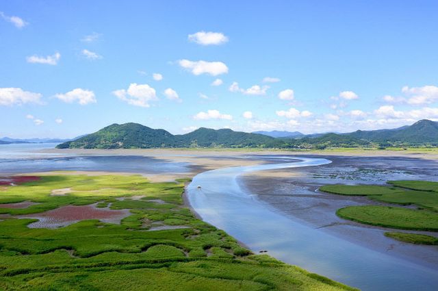 사본 -1 순천만습지 여름