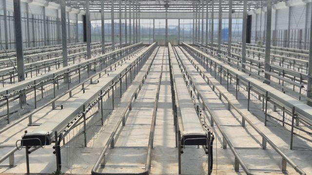 영암군 청년경영실습임대농장1